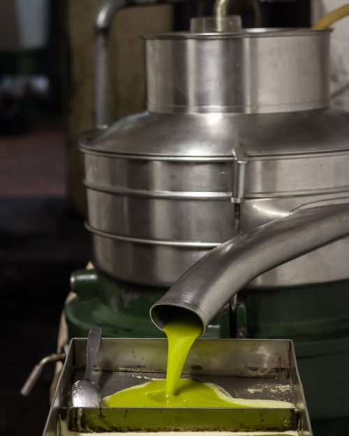 Freshly pressed olive oil