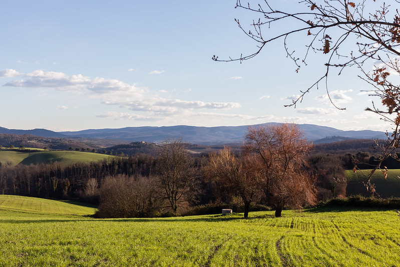 Winter in Tuscany