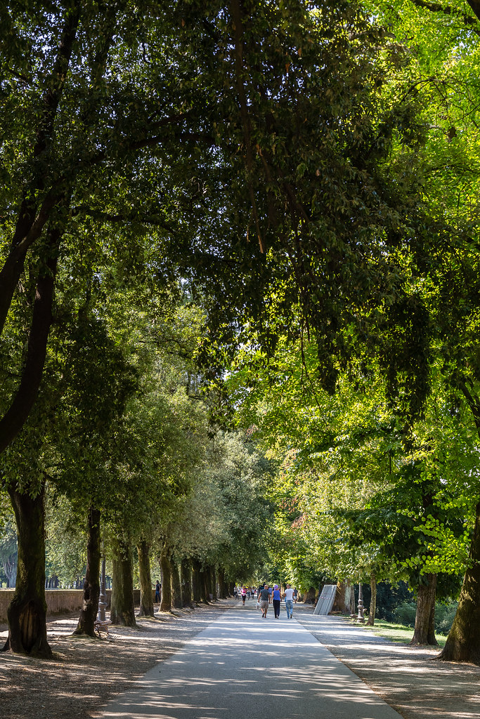 Lucca